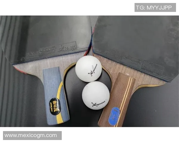 乒乓羽毛球集训中的战术打磨与技巧提升全面探讨