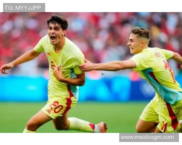 费尔明梅开再创辉煌解析其背后成功的秘密与未来发展潜力