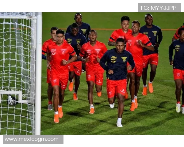 巴西大胜厄瓜多尔，成功晋级美洲杯半决赛