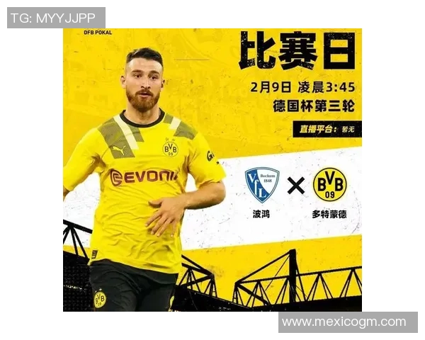 波鸿客场取胜，德甲排名稳健律动