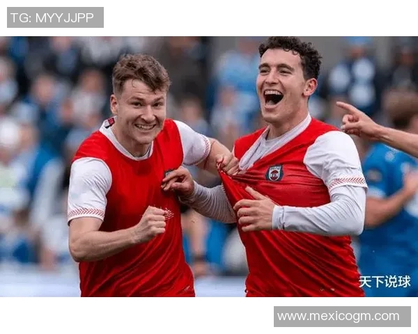 汉诺威96陷入德甲联赛低谷,保级压力日益增加 汉诺威96陷入德甲联赛低谷,保级压力日益增加