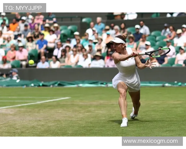 火箭队再度胜出，晋级下一轮：荣耀之路的延续